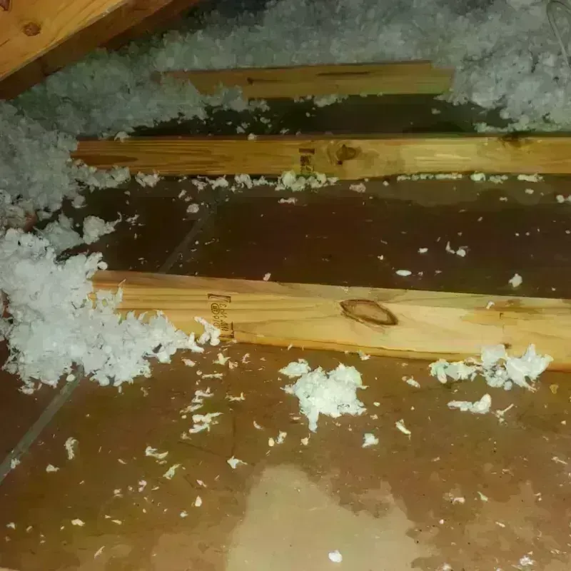 Attic Water Damage in Pinson, AL