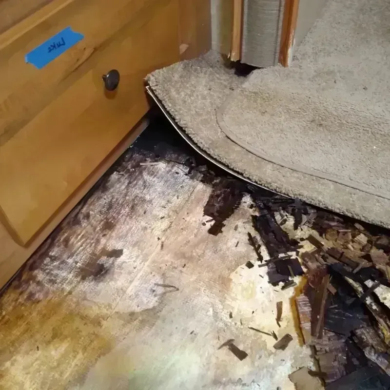 Wood Floor Water Damage in Pinson, AL